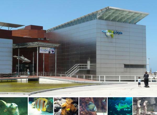 Primera Linea Playa+Parking Gratis Gijón Dış mekan fotoğraf